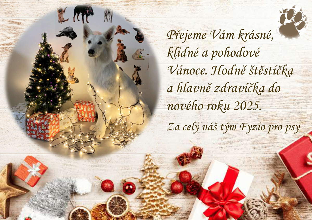 PF 2025